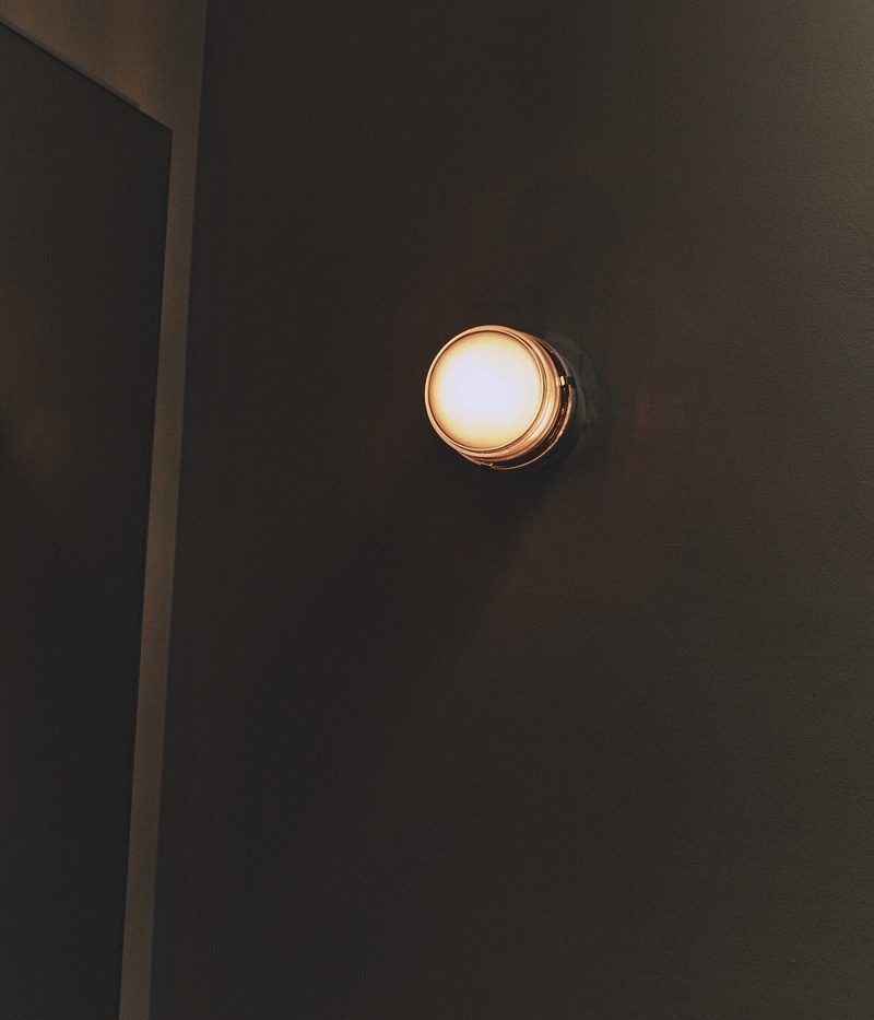 Fresnel Wall/Ceiling Light